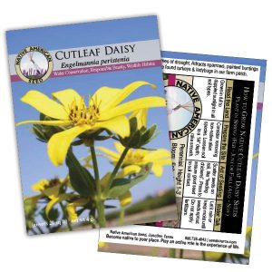 Seed Packet Native Amercian Seed Co - Cutleaf Daisy