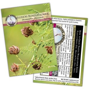 Seed Packet Native Amercian Seed Co - Illinois Bundleflower
