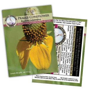 Seed Packet Native Amercian Seed Co - Prairie Coneflower