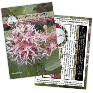 Seed Packet Native Amercian Seed Co - Showy Milkweed