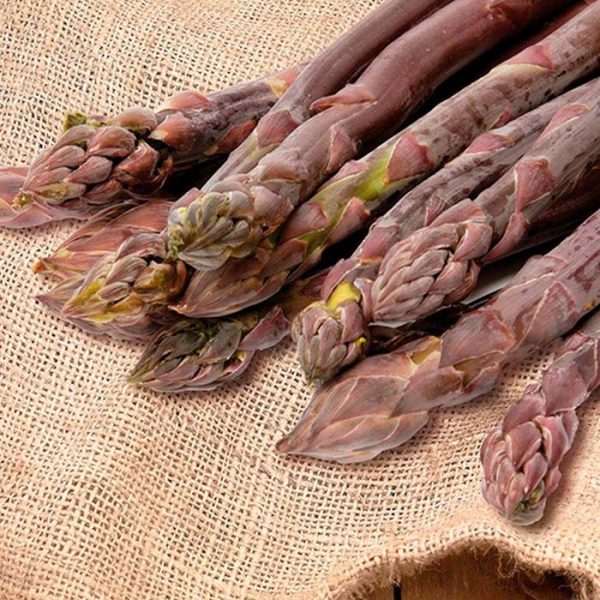 Asparagus Crown Purple Passion 7pk