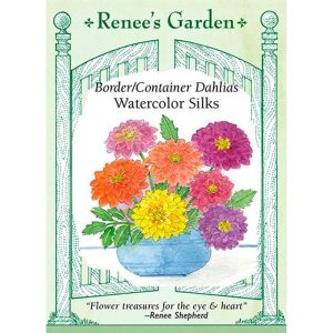 Seed Pack Renee's Garden Dahlia Dwarf Watercolors