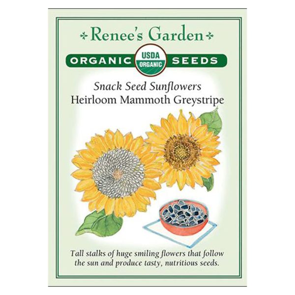 Seed Pack Renee's Garden Sunflower Mammoth Edible Organic