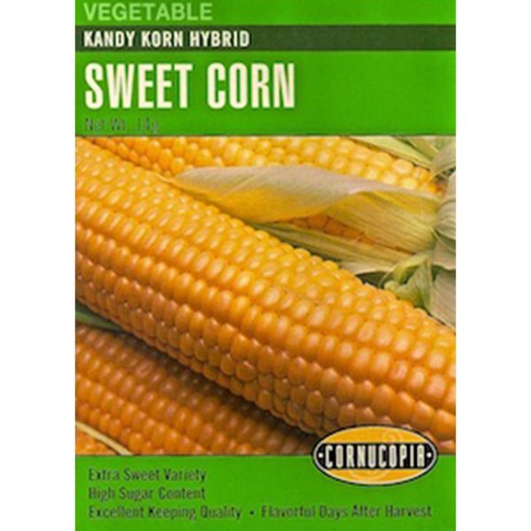 Seed Pack Cornucopia Corn Kandy Korn Hybrid