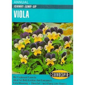 Seed Pack Cornucopia Viola Johnny Jump-up