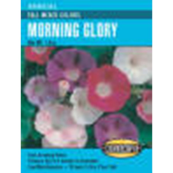 Seed Pack Cornucopia Morning Glory Tall Mixed Colors