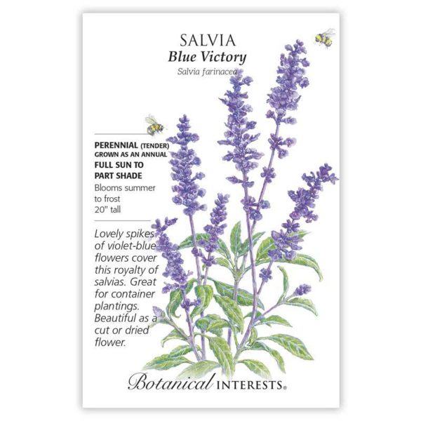Seed Pack Botanical Interests Salvia Blue Victory