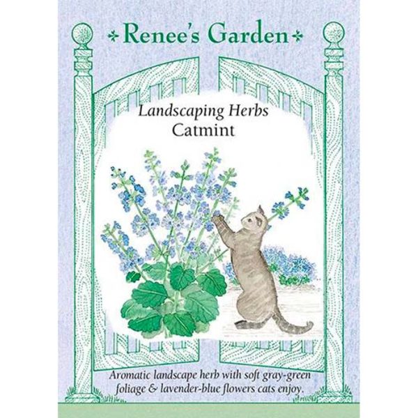 Seed Pack Renee's Garden Catmint Landscape Ornamental