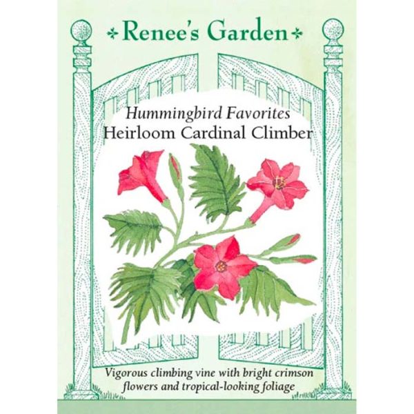Seed Pack Renee's Garden Cardinal Climber Vine