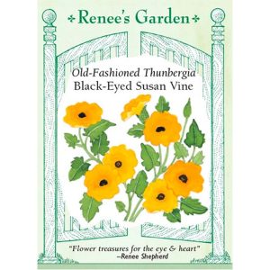 Seed Pack Renee's Garden Thunbergia Black-Eyed Susan Vine