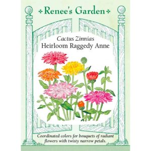 Seed Pack Renee's Garden Zinnia Raggedy Anne Cutting