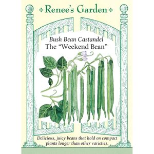 Seed Pack Renee's Garden Bean Bush Castandel Weekend