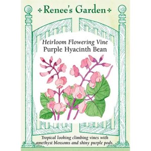 Seed Pack Renee's Garden Hyacinth Bean Vine Purple