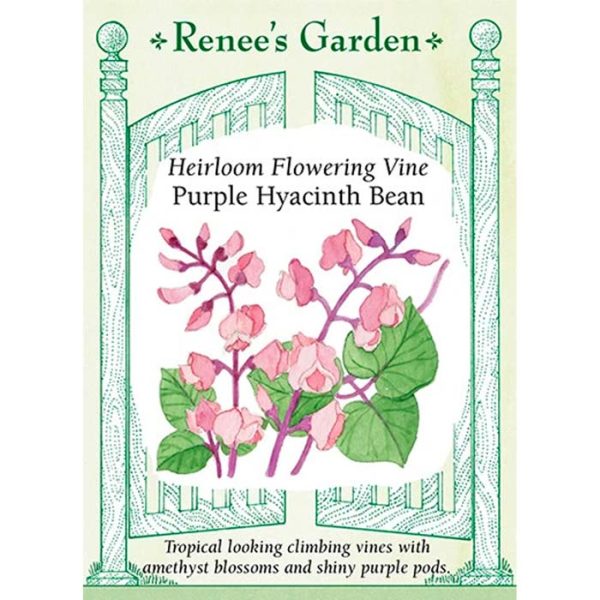 Seed Pack Renee's Garden Hyacinth Bean Vine Purple