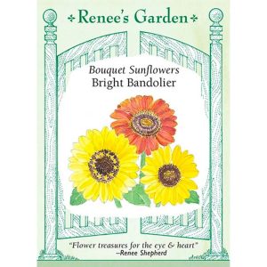 Seed Pack Renee's Garden Sunflower Bright Bandolier