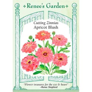 Seed Pack Renee's Garden Zinnia Apricot Blush Cutting