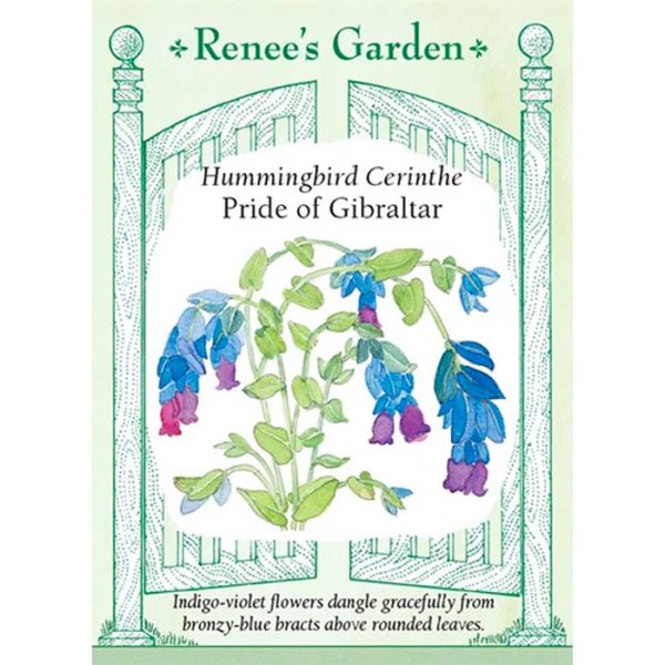 Seed Pack Renee's Garden Cerinthe Pride Of Gibraltar