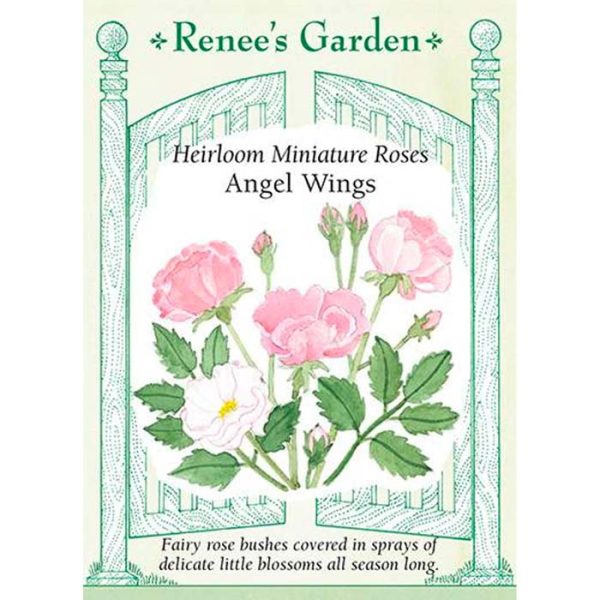 Seed Pack Renee's Garden Rose Miniature Angel Wings
