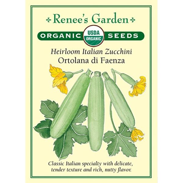 Seed Pack Renee's Garden Squash Zucchini Ortolana Di Faenza Organic