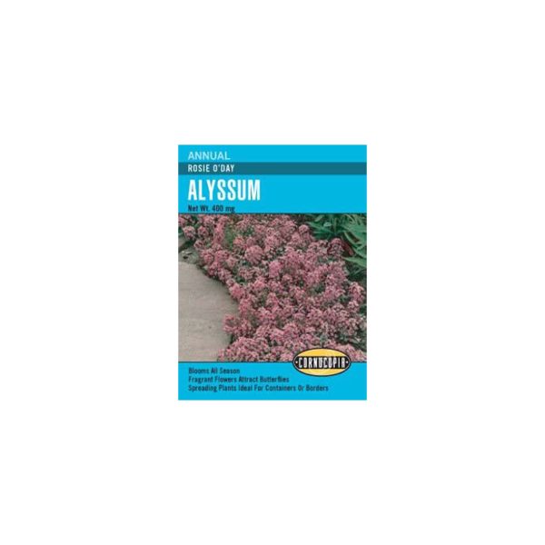 Seed Pack Cornucopia Alyssum Rosie O'Day
