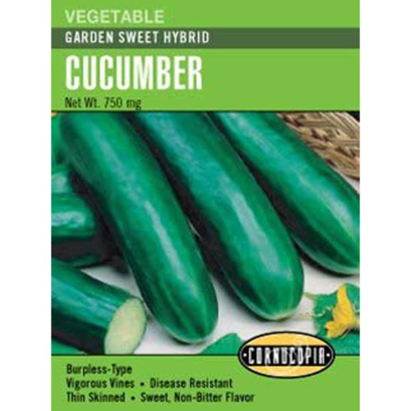 Seed Pack Cornucopia Cucumber Garden Sweet Hybrid