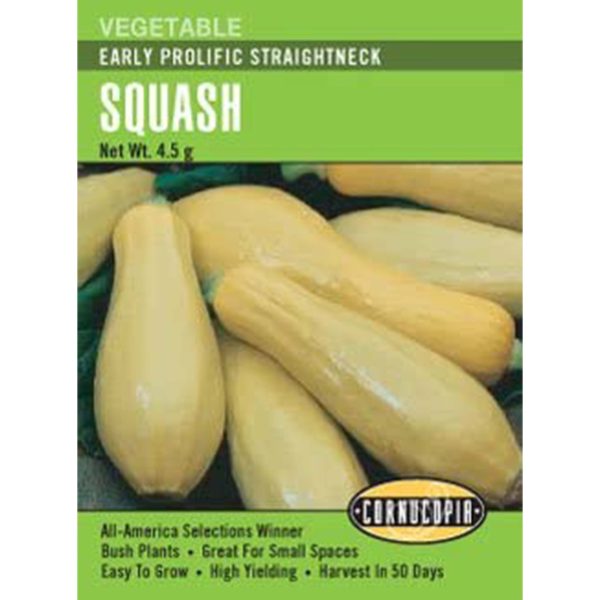 Seed Pack Cornucopia Squash Early Prolific Straightneck