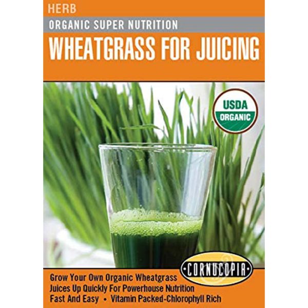 Seed Pack Cornucopia Wheatgrass Organic