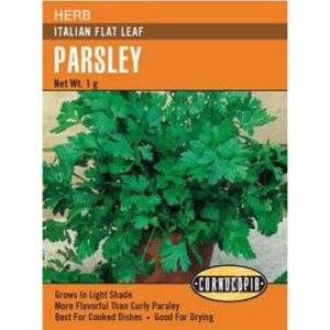 Seed Pack Cornucopia Parsley Italian Flat Leaf