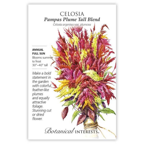 Seed Pack Botanical Interests Celosia Pampas Plume Blend