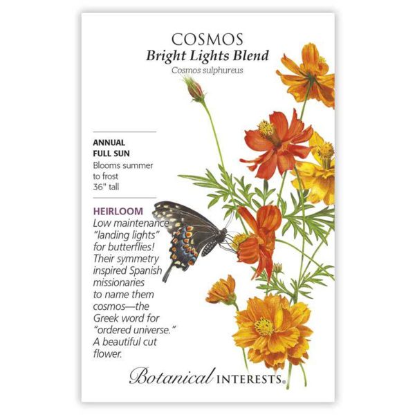Seed Pack Botanical Interests Cosmos Bright Lights Blend