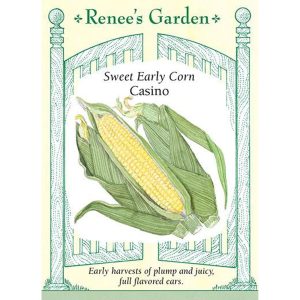 Seed Pack Renee's Garden Corn Casino Yellow