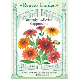 Seed Pack Renee's Garden Rudbeckia Cappuccino