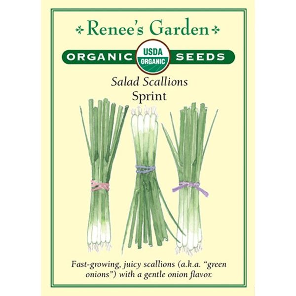 Seed Pack Renee's Garden Onion Scallions Sprint Organic