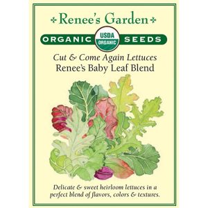 Seed Pack Renee's Garden Lettuce Renee'S Special Baby Leaf Organic