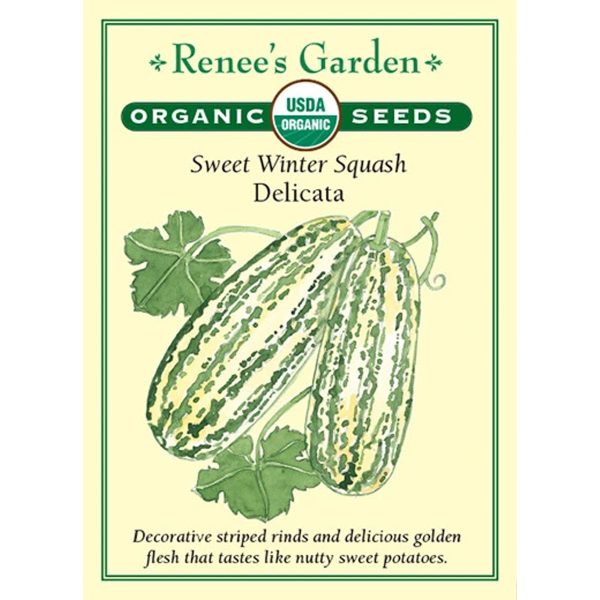 Seed Pack Renee's Garden Squash Winter Delicata Organic