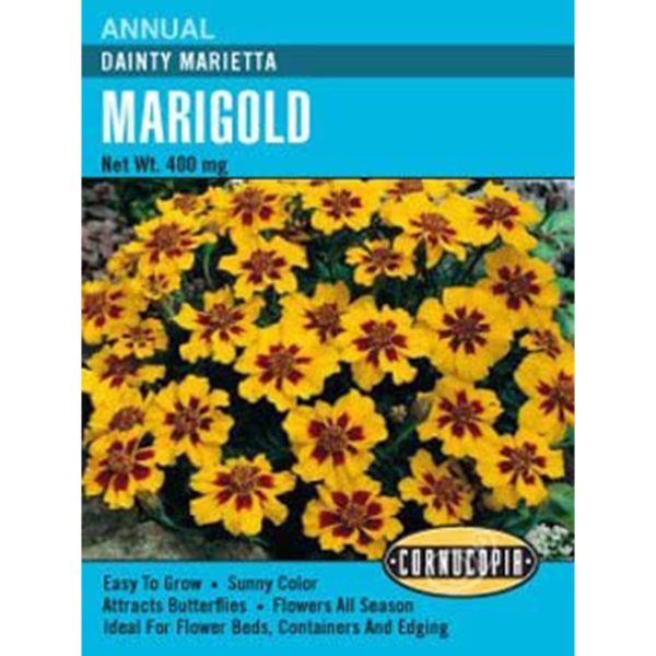 Seed Pack Cornucopia Marigold Dainty Marietta