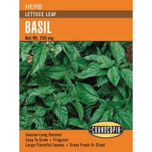 Seed Pack Cornucopia Basil Lettuce Leaf
