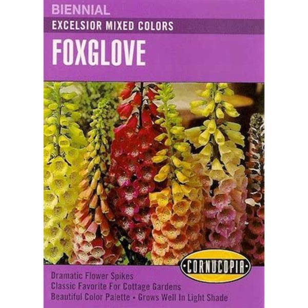 Seed Pack Cornucopia Foxglove Excelsior Mixed Colors