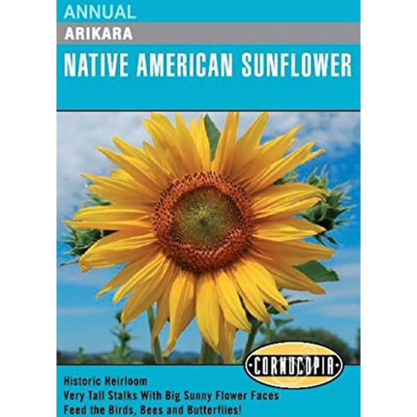 Seed Pack Cornucopia Sunflower Arikara