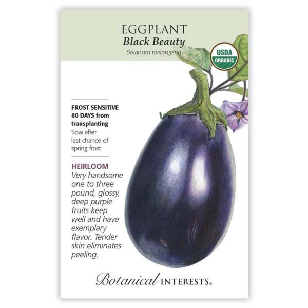 Seed Pack Botanical Interests Eggplant Black Beauty Org