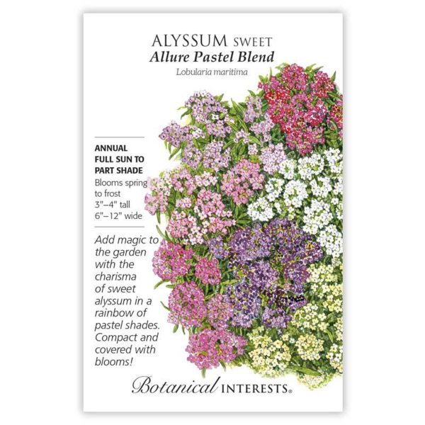 Seed Pack Botanical Interests Alyssum Sweet Allure Pastel Blnd