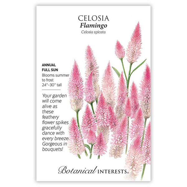 Seed Pack Botanical Interests Celosia Flamingo