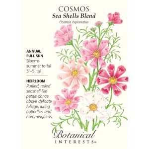 Seed Pack Botanical Interests Cosmos Sea Shells Blend