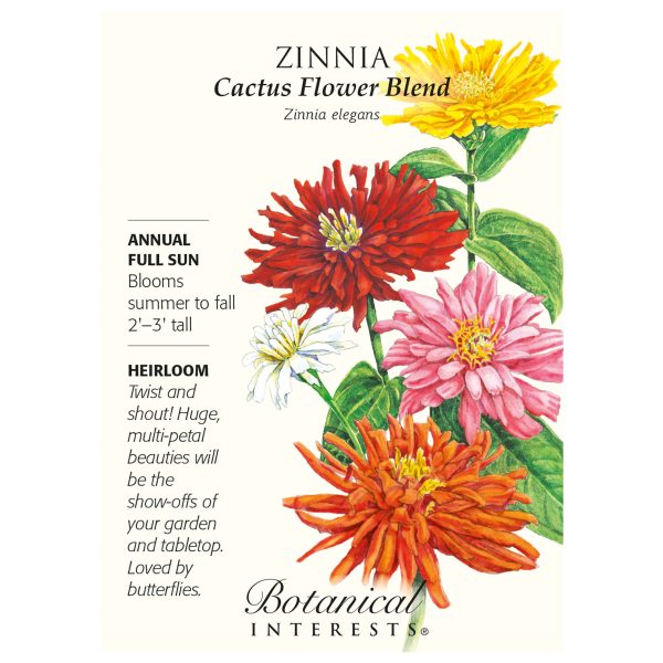 Seed Pack Botanical Interests Zinnia Cactus Flower Blend