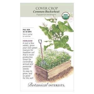 Seed Pack Botanical Interests Cover Crop Buckwheat Org