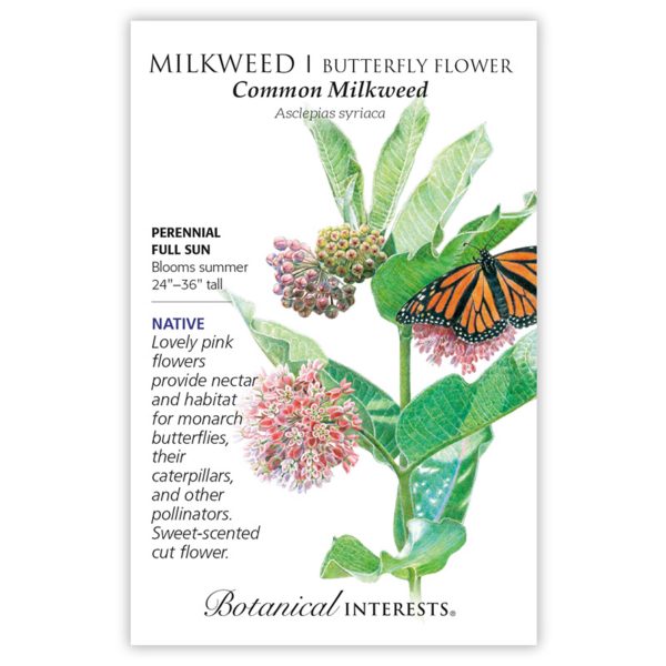Seed Pack Botanical Interests Milkweed Common Organic
