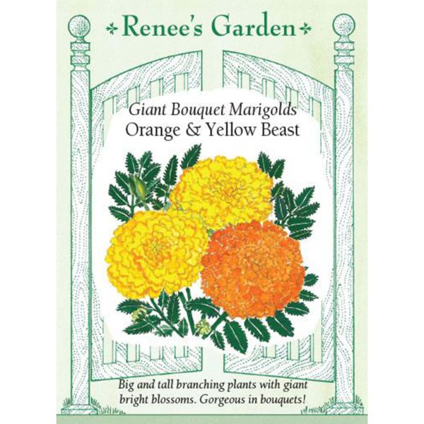 Seed Pack Renee's Garden Marigold Orange & Yellow Beast