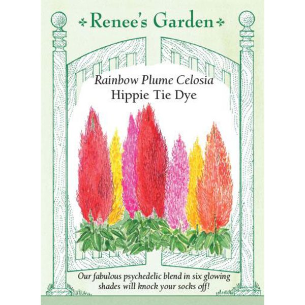 Seed Pack Renee's Garden Celosia Hippie Tie Dye Mix