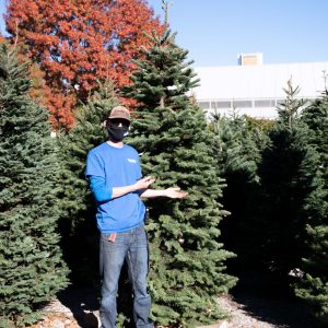 Christmas Tree Noble Fir 8-9′