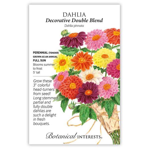 Seed Pack Botanical Interests Dahlia Decorative Double Blend